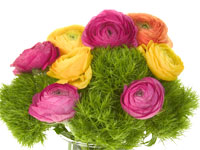 Trendy flowers can be described as feminine, lacy, and ruffled with multiple petals like those found in this bright and beautiful bouquet which features pink, yellow, and orange roses with green trick dianthus.