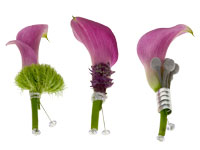 The Calla boutonniere is simple, stylish and elegant. Three pink calla boutonnieres are enhanced with different textural materials like green trick dianthus, brasilia, or astrantia as well as a bit of bling.