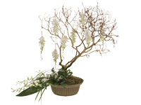 A color enhanced manzanita branch is decorated with hanging white orchids mixed with tear drop crystal baubles. The base of the floral design is covered in moss and enhanced with aspidistra leaf, lily grass, and more white orchids. 