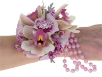 A beautiful wrist corsage featuring miniature cymbidium orchids and wax flowers in shades of soft pink, dusty miller foliage, plus pearl beads, ribbon, and a sparkly rhinestone broach all in a matching pink adorns a persons's wrist.