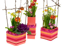 A trio of colorful square containers of spring garden arrangements mixing spring plants, pussy willow branches and cut spring flowers.  