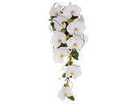 This natural styled cascading bouquet features Phalaenopsis orchid blossoms mixed with craspedia, Israeli ruscus, and galax leaves on a framework of curly willow.