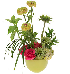 Amazing Zinnias