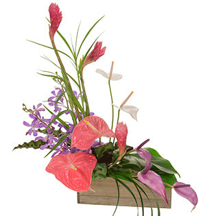 Tropical Flower Arrangement