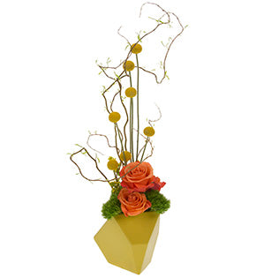 Geometric Whimsey