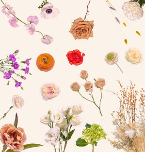 A collage featuring a variety of flowers, and dried foliages.