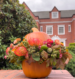 A faux pumpkin is filled with vine maple, curly willow, ornamental blackberries, straw flowers, scabiosa, and pincushion protea.