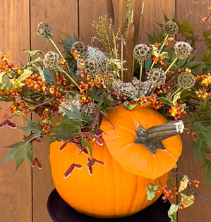 Orange pumpkin filled with dried flowers