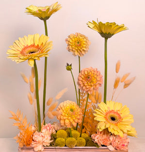 A stunning horizontal vegetative design created with gerbera daisies, dahlias, craspedia, carnations, dried ruscus and bunny tail grass on a bed of reindeer moss.