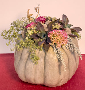 A beautiful green Jarrahdale pumpkin topped with hydrangea, cockscomb celosia, succulents, seeded eucalyptus, artemisia, straw flower, and reindeer moss.