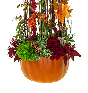 A whimsical autumn arrangement mixes fall leaves, dogwood branches, sweet gum tree pods, bunny tails, amaranthus, spray mums, oat grass, carnations, green trick dianthus, brunia, seeded eucalyptus, and oregonia in a carvable pumpkin.
