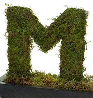 A lovely moss-covered monogram adds a unique touch to a guestbook or check-in table at a special event.