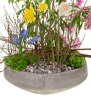 A spectacular floral design in the vegetative style mixes spring flowers like muscari, daffodils, and sweet peas with green trick dianthus, andromeda, and budding huckleberry branches