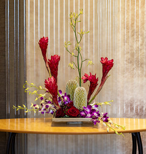 Vibrant tropical materials such as dendrobium orchids, red roses, ginger, banksia, kangaroo paws, and hypericum are featured in a fabulous formal linear floral design.