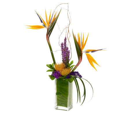 Advanced Floral Design 02/02/26-02/06/26