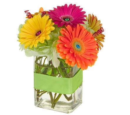 Basic Floral Design 10/20/25-11/07/25