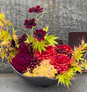 Dahlias, airy chocolate cosmos, vibrant Japanese maple, and clusters of hypericum berries.
