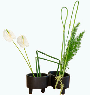 An ikebana-style floral design using a kenzan and anthurium.