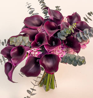 A bouquet of deep purple calla lilies with pink filler flowers and green-gray eucalyptus stems, arranged against a plain light background.