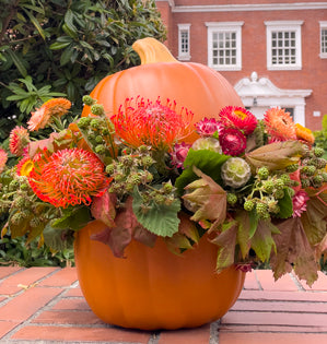 An orange decorative pumpkin planter filled with autumn flowers and foliage, placed on a brick surface outdoors with a brick building in the background.