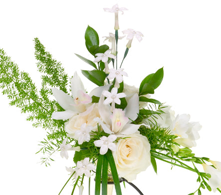 Classic White Elegance