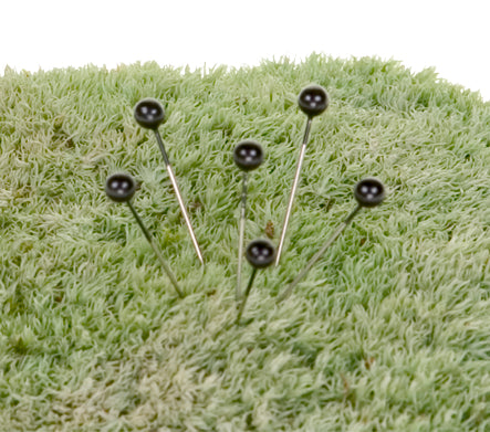 Boutonniere Pins, 1.5 Inch, Black