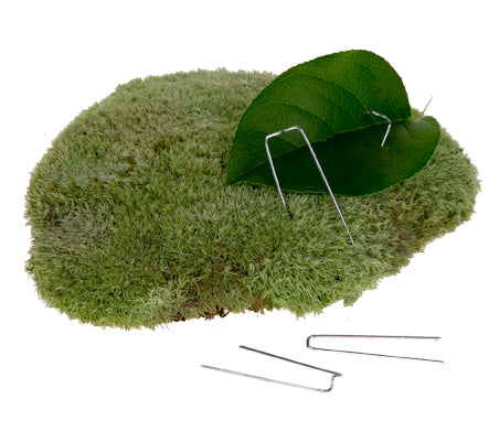 Oasis Greening Pins One Pound Bag