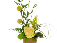 All flowers and foliages have different shapes or forms like those in this floral design in yellow hues, which mixes roses, freesia, craspedia, Italian ruscus, galax leaves, and lily grass.