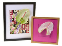 Floral Design as Art can be as simple as complementing existing paintings, photography and sculpture with appropriate flowers and floral design such as these beautiful framed pieces created with anthuriums.