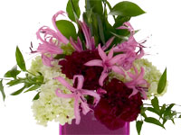 This beautiful modern floral design combines pink nerine lilies, ruby colored carnations, mini green hydrangeas, Italian ruscus, and Israeli ruscus in a pale pink glass vase.