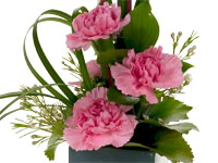 This beautiful formal linear floral design mixes hot pink carnations, galax leaves, waxflower, Israeli ruscus, lily grass, and red twig dogwood in a charcoal colored vase.