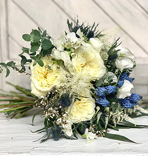 An elegant winter white wedding bouquet features white Mayra garden roses accented with the silver and blue colors of astrantia, astilbe and ginestra.