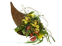 A beautiful cornucopia mixes fruit like apples and grapes with flowers and foliage like yellow lilies, red anthuriums, hypericum berries, fatsia leaves, plumosa, and more in an armature of curly willow..