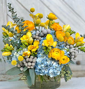 An sunshine floral centerpiece has a yellow and blue color palette, and features craspedia, freesia, ranunculus, brunia, spiral eucalyptus, seeded eucalyptus, and hydrangea.
