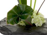 A dramatic fan is created using Ti Leaves, then it is inserted into a lovely modern floral design in a slate container, which mixes yellow Gerbera daisies with a bit of white hydrangea for a striking effect.