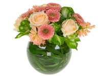 An arrangement of peach hyacinth, light peach roses, coral Gerbera daisies, and ornamental kale sits in a round glass vase with lily grass wrapped around the inside.