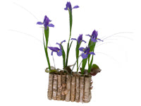 Iris blooms sit in a container amongst bear grass and galix leaves.