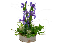 An arrangement of irises, Pacific Northwest greenery, and ornamental kale sits in a rustic galvanized metal dish container.