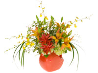 A bright arrangement of oncidium "Dancing Lady" orchids, succulents, lilies, hydrangeas, New Zealand pittosporum, and lily grass explodes out of a bright orange fiesta pitcher.