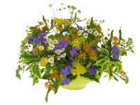 An explosive arrangement of garden flowers and foliage, including orange esclepius, purple aduratum, yellow cottage yarrow, delicate feverfew, and weigela leaves in a low yellow bowl container.