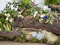 A signature Francoise Weeks Pacific Northwest Natural Woodlands creation: a long, woody branch is covered with Pacific Northwest native mosses, lichens, flowers, and foliage. The variety gives a high degree of texture and detail.