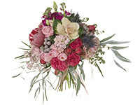 A modern garden style bridal bouquet of diverse materials like hydrangea, garden roses, kale, eryngium, hyacinth, protea, lisianthus, stock, tulips, and foliage of gilded white eucalyptus, draping seeded eucalyptus, and dusty miller. 