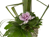 An arrangement in green of tall flax, angled flax and snake grass, fatsia leaves, lily grass, and a composite kale in the focal point which adds a touch of soft lavender to the creation.