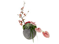 A round cement container holds a dramatic linear-styled floral design using flowering quince branches to add height, reaching rosy blush antherium, draped lily grass, vibrant pink carnation, galax leaves, and a single succulent.