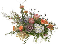 A relaxed and unique arrangement of quince, garden roses, proteas, leucospermum, kale, and hydrangea. Texture is added from fatsia leaves, eryngium, feather eucalyptus, grevillea, and lily of the valley.