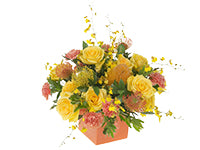 A bright and cheerful arrangement in yellow and coral hues contains roses, carnations, proteas, oncidium orchids, ruscus, and leucadendron inside a coral cube container.