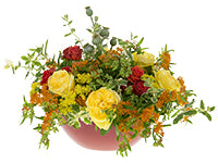 A gorgeous loose arrangement of red roses, orange asclepius, yellow garden roses, yellow sedum, euphorbia, variegated mint, and poppy pods bursts from a wide red container.