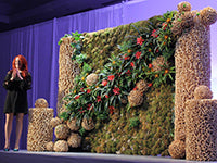 Jenny Thomasson stands on a stage in front of a constructed art wall covered in mosses, bromeliads, and spheres and columns fashioned from bare branches. Jenny is wearing a black dress.
