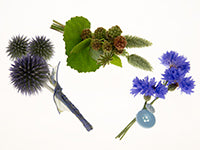 Three boutonnieres: one of a bundle of three echinops flowers, one of bachelor buttons decorated with two small actual buttons, and one of unripened blackberries, a poppy pod, and bunny tails.