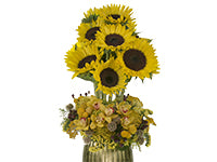 A bunch of sunflowers stands tall from a gold container that is adorned with a collar of a textural variety of status, soldaster, yarrow, craspedia, pincushion protea, and cymbidiums, all in matching yellow.